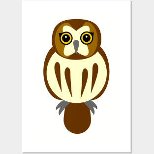 Saw-Whet Owl Posters and Art